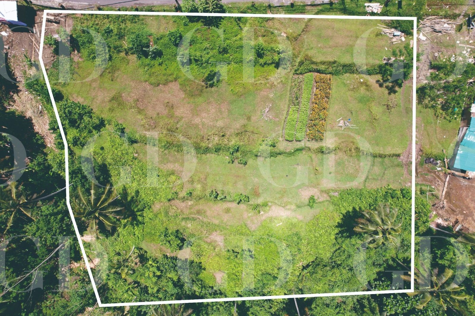 PLOT WITH INCREDIBLE JUNGLE VIEWS